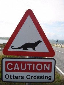 Автодороги Шотландии