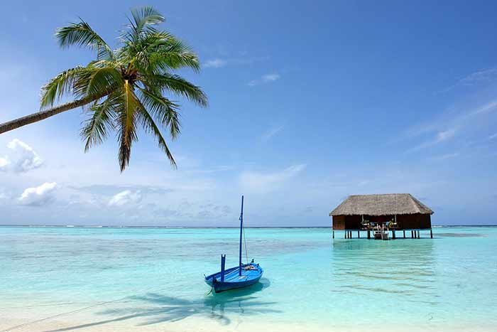 Мобильный интернет на Шри-Ланке в 2026 году