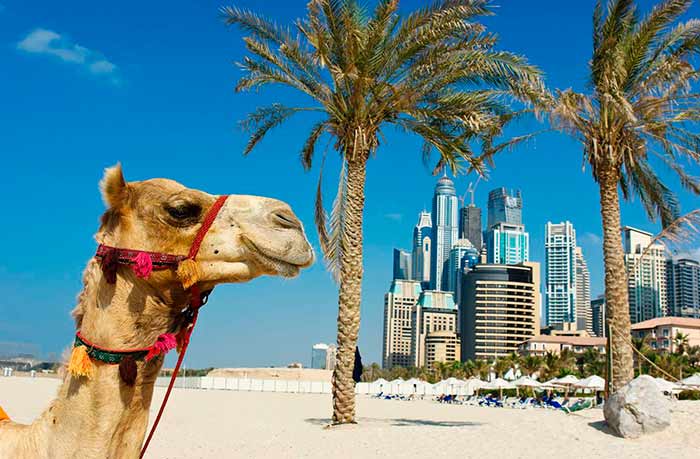Мобильная связь в ОАЭ: что нужно знать туристу и как не переплатить за интернет