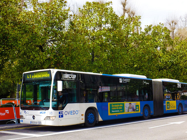 Путешествие на автобусе по миру