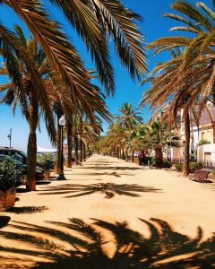 платный вай-фай в гостиницах