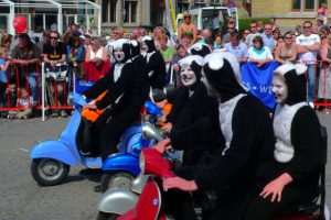 Бельгийский фестиваль котов