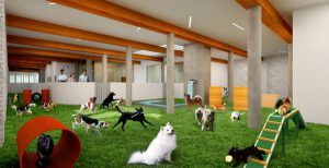 гостиницы для животных