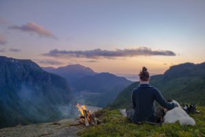 где жить, если вы путешествуете с животным