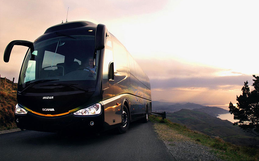 Автобусный тур по Европе: как выбрать лучший вариант?