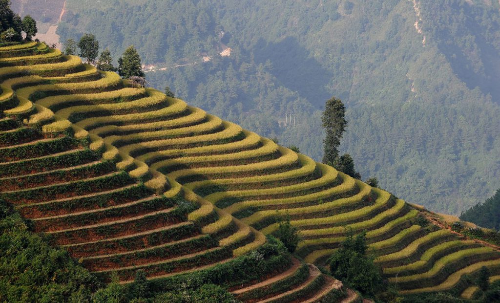 округ Юаньян Китай