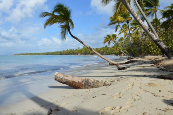 Где и как купить? Мобильный интернет и связь Мартиники