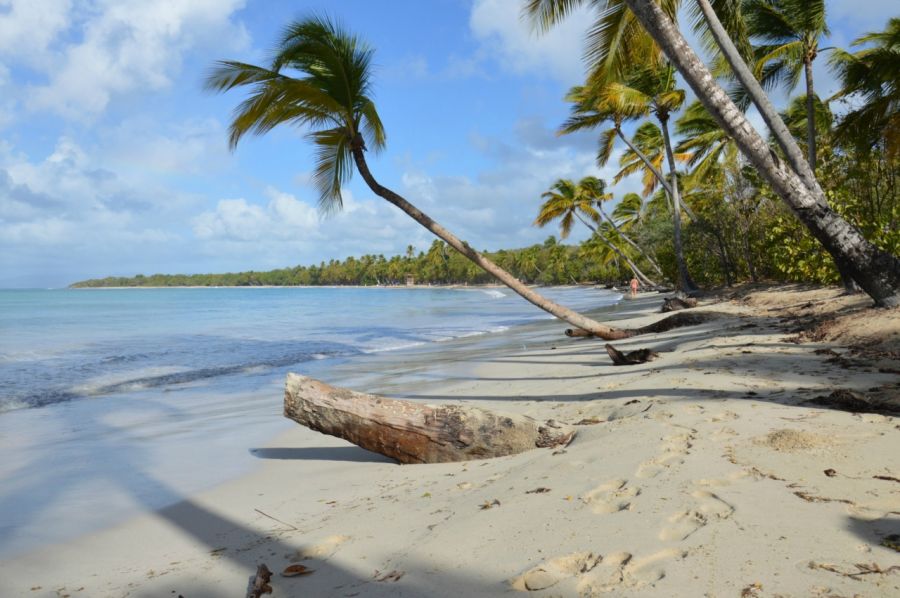 Где и как купить? Мобильный интернет и связь Мартиники