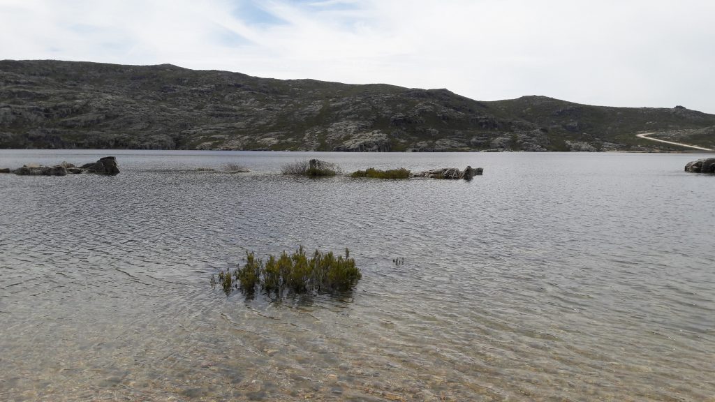 Впечатления от прекрасной Португалии Гуарда