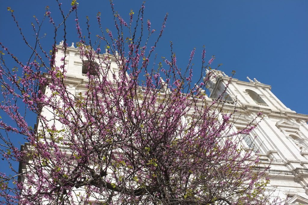 лисабон Отзыв о симке итальянского Водафона