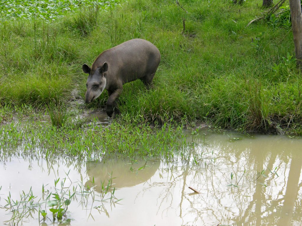 На что посмотреть и куда съездить?
