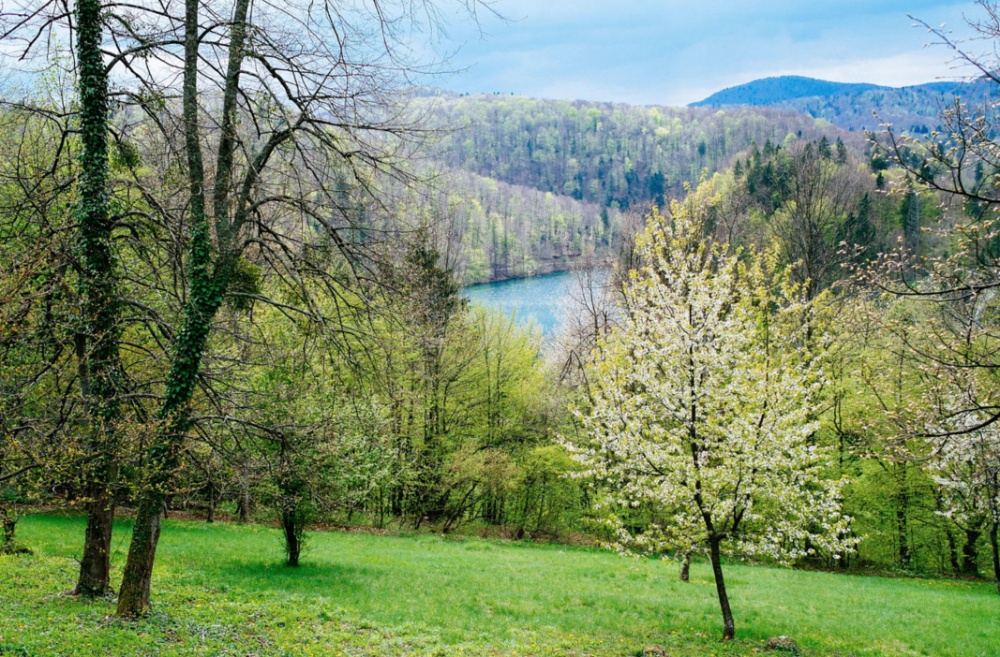 плитвицкие озера