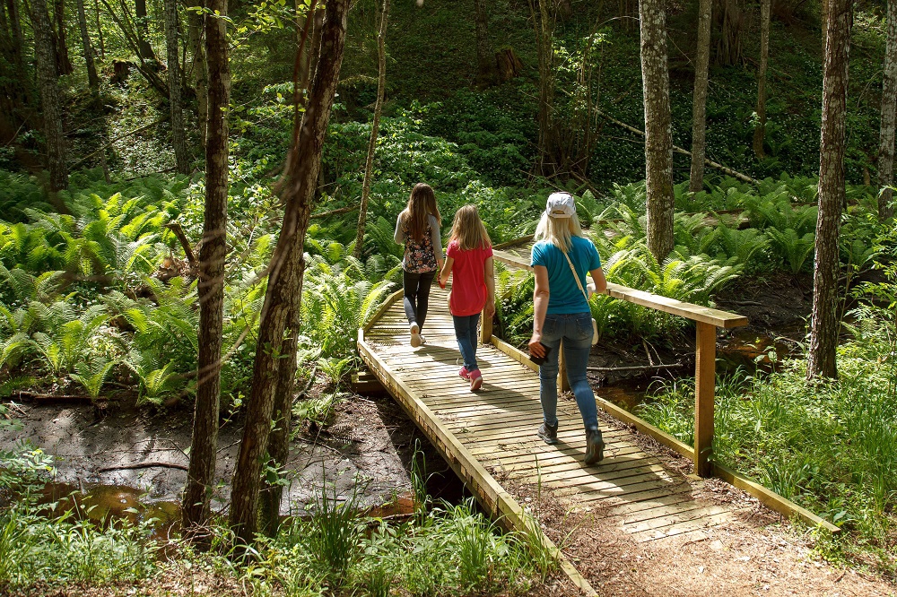 приложение Dodieslv