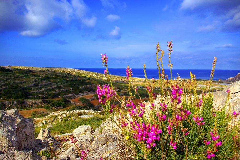 Поездка на Мальту