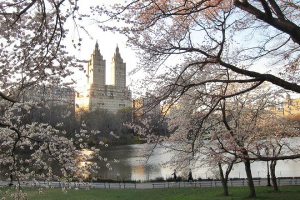 Деловая поездка в Нью-Йорк и мое мнение о Vodafone