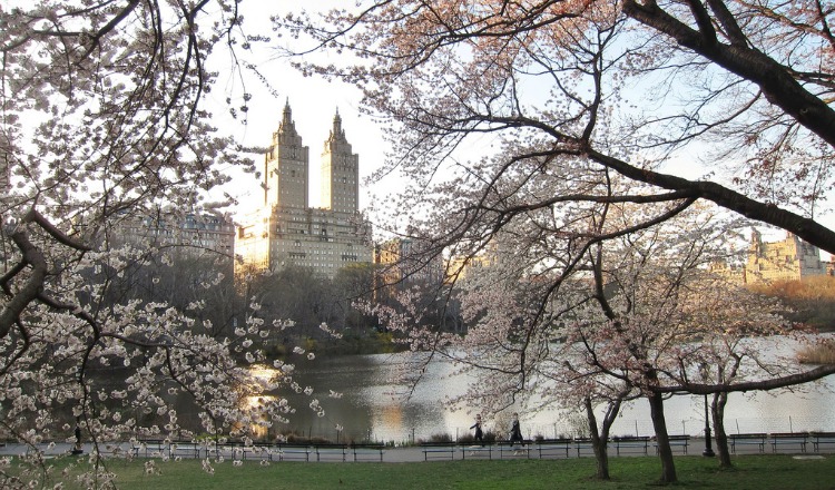 Деловая поездка в Нью-Йорк и мое мнение о Vodafone Yuser