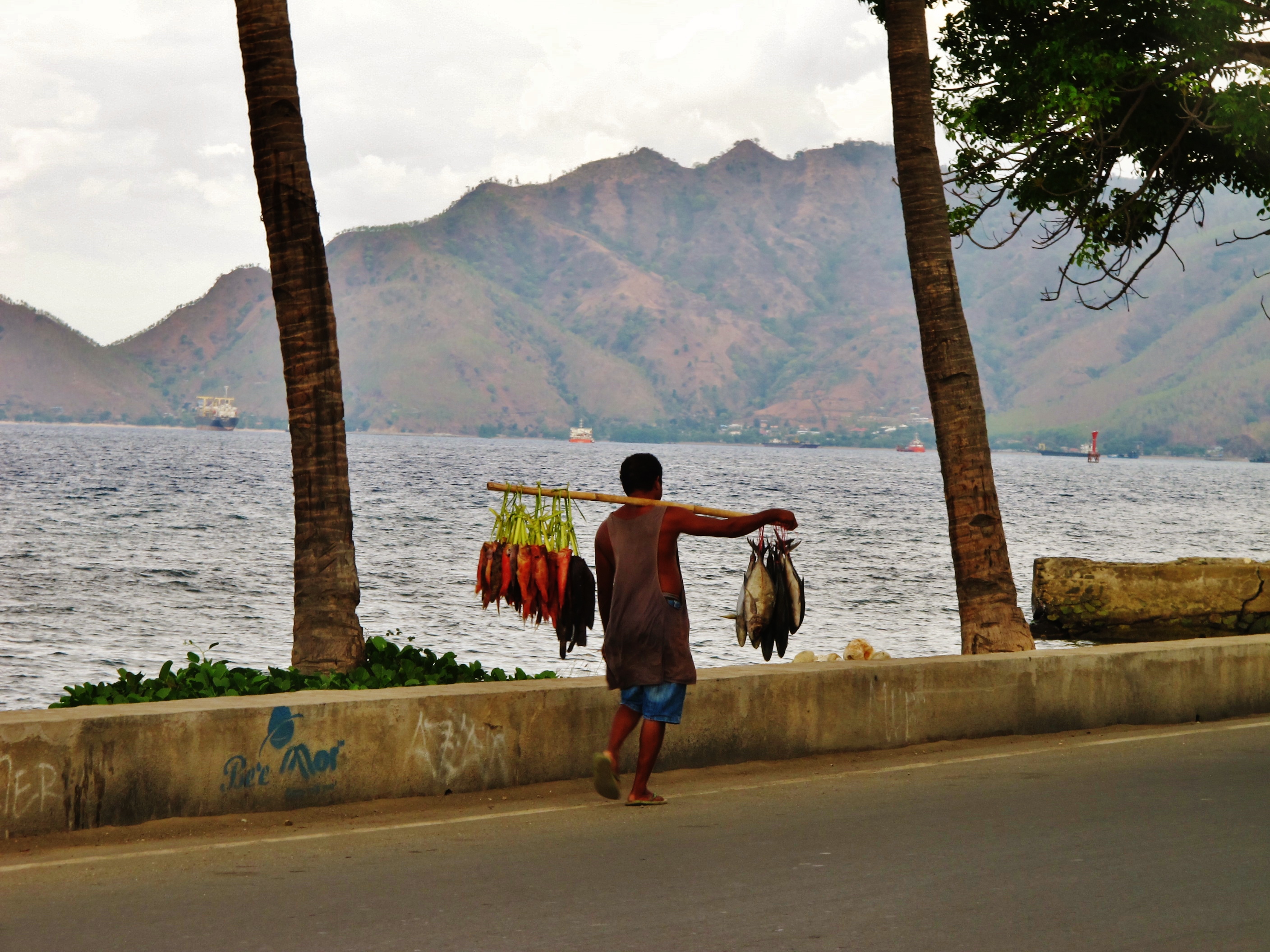пять стран East Timor