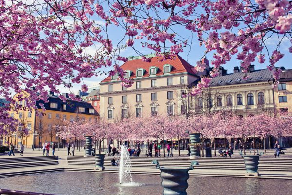 Весенние каникулы в Стокгольме и отзыв о сим-карте Ortel Mobile