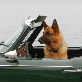 Путешествие в Европу на своем автомобиле: типичные заблуждения туристов