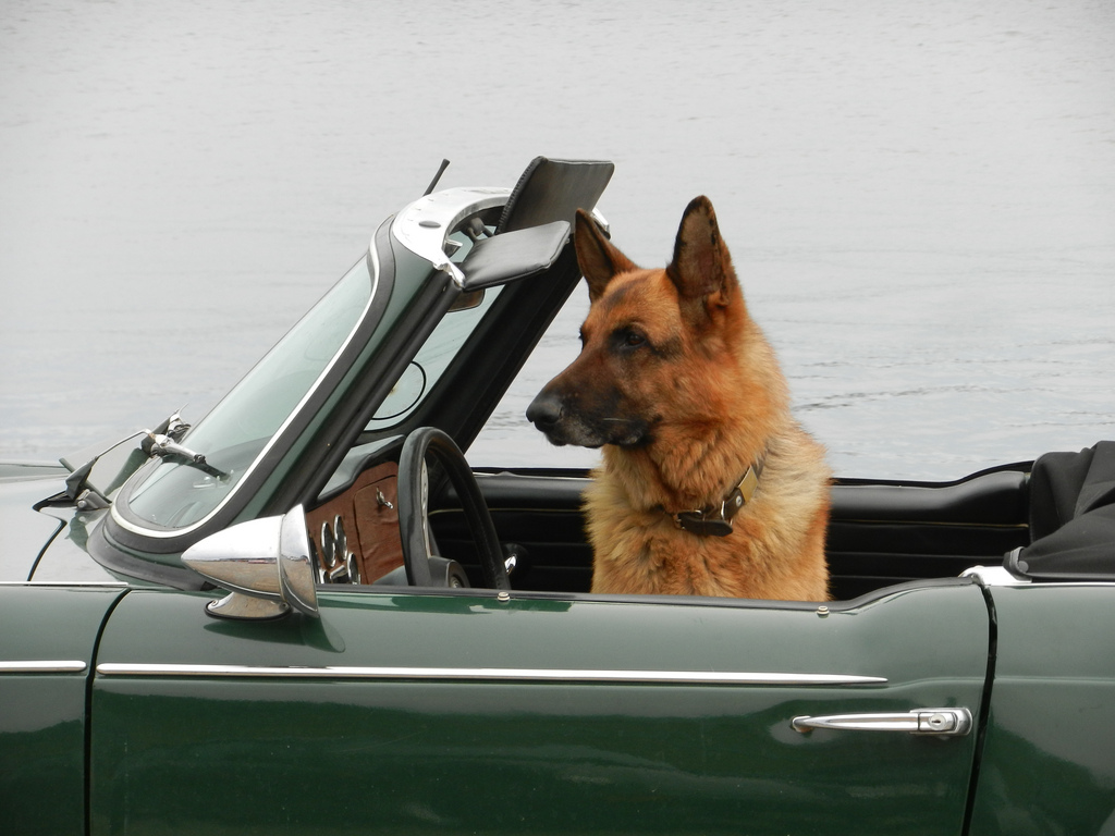 Путешествие в Европу на своем автомобиле: типичные заблуждения туристов