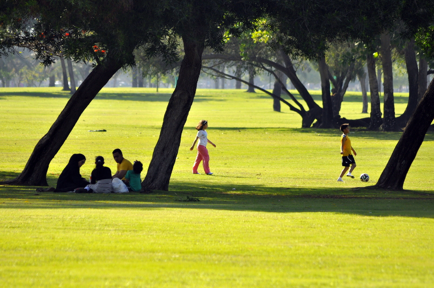 в Дубае, Alfa Safa Park