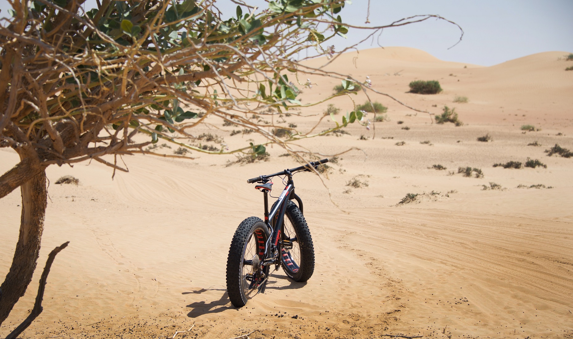 экскурсия на велосипеде по Дубае