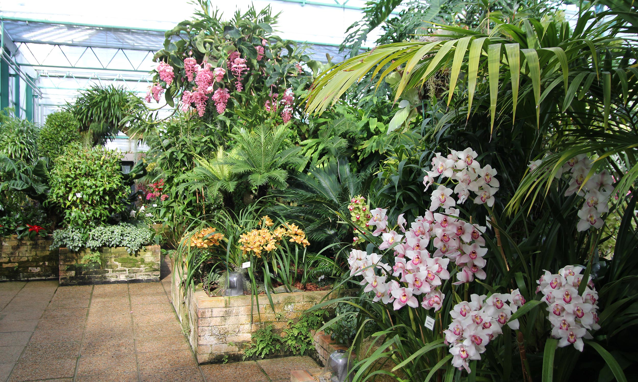 Недорогой Интернет и звонки из острова Джерси в Россию