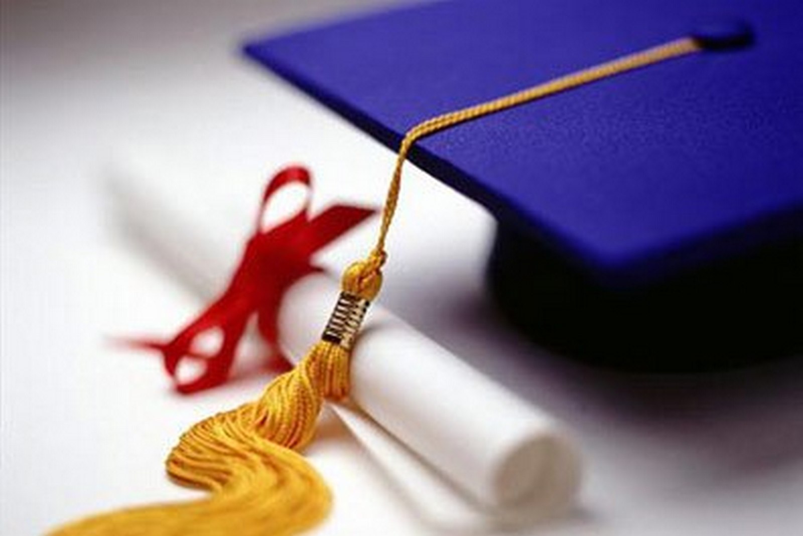 образование за границей бесплатно