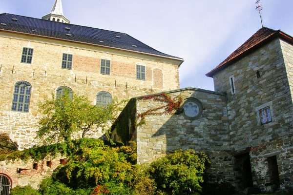 Наше незабываемое свадебное путешествие в Норвегию и отзыв об Ortel Mobile