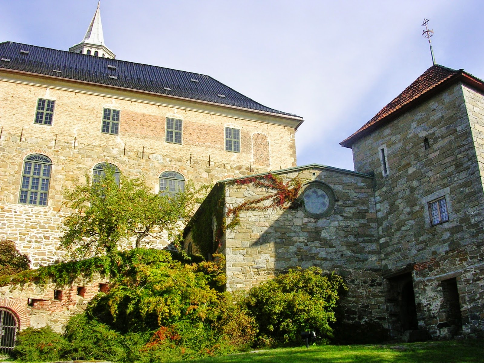 Наше незабываемое свадебное путешествие в Норвегию и отзыв о Globalsim Direct