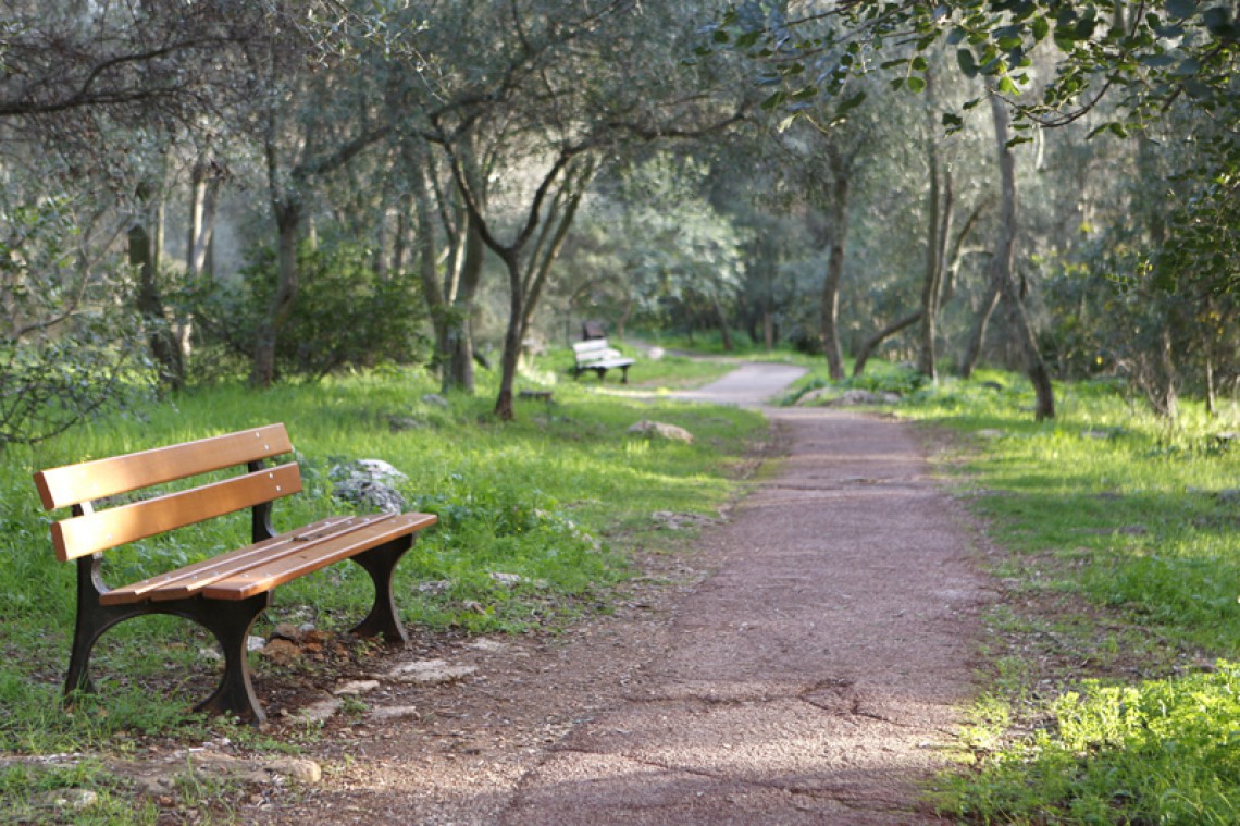 Как я во Франции – французский учила и мнение о сим-карте Orange Mundo