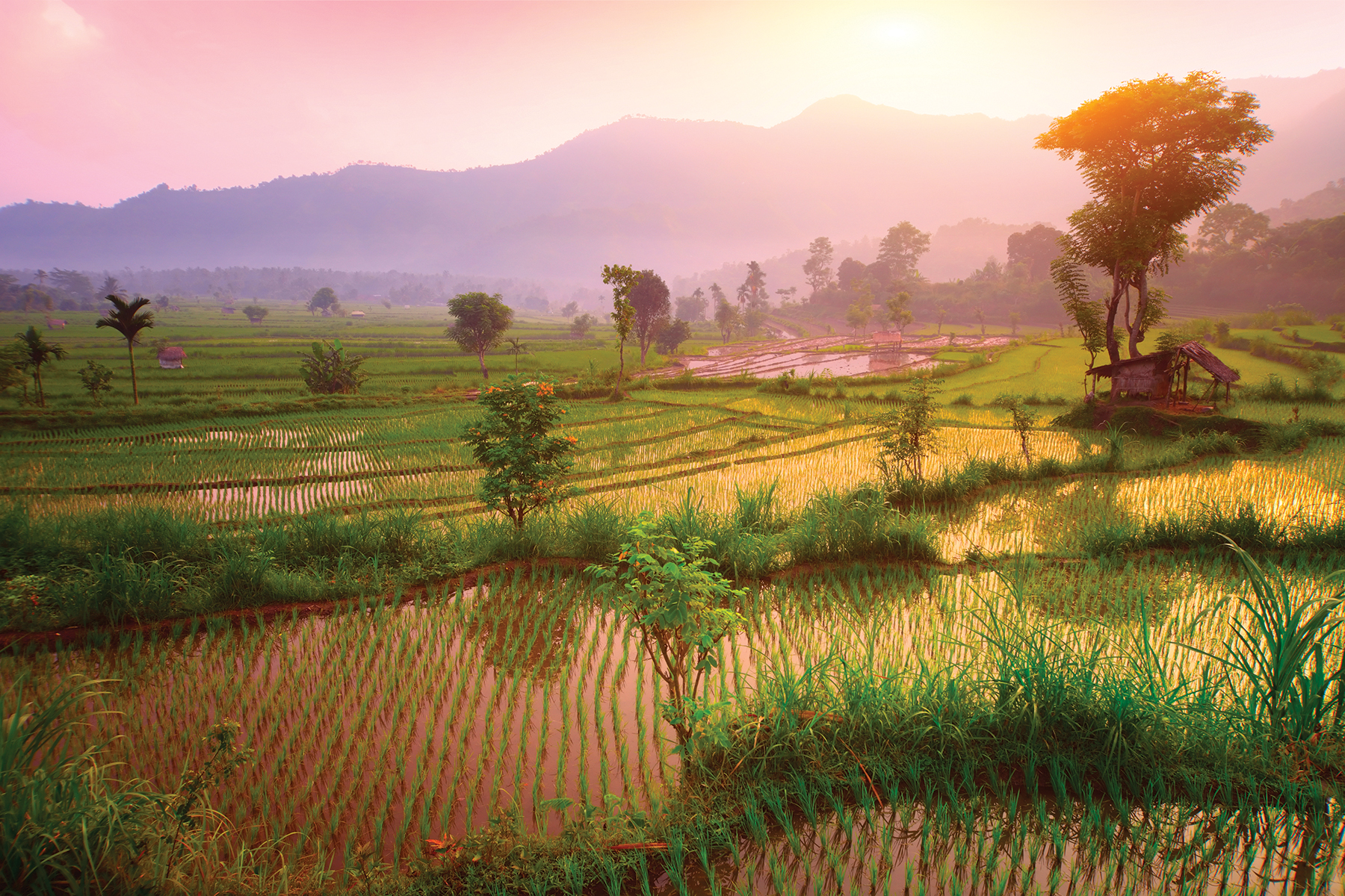 Увидеть больше – как объехать незнакомую страну на поезде за одно путешествие