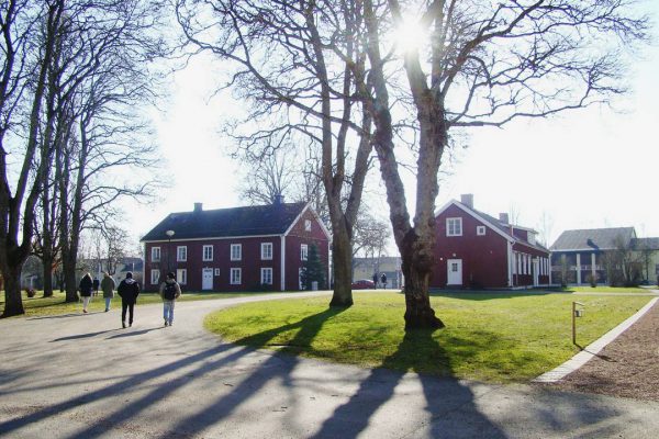 Изучение шведского языка в школе Axevalla folkhögskola и мнение о тарифе Ortel Mobile