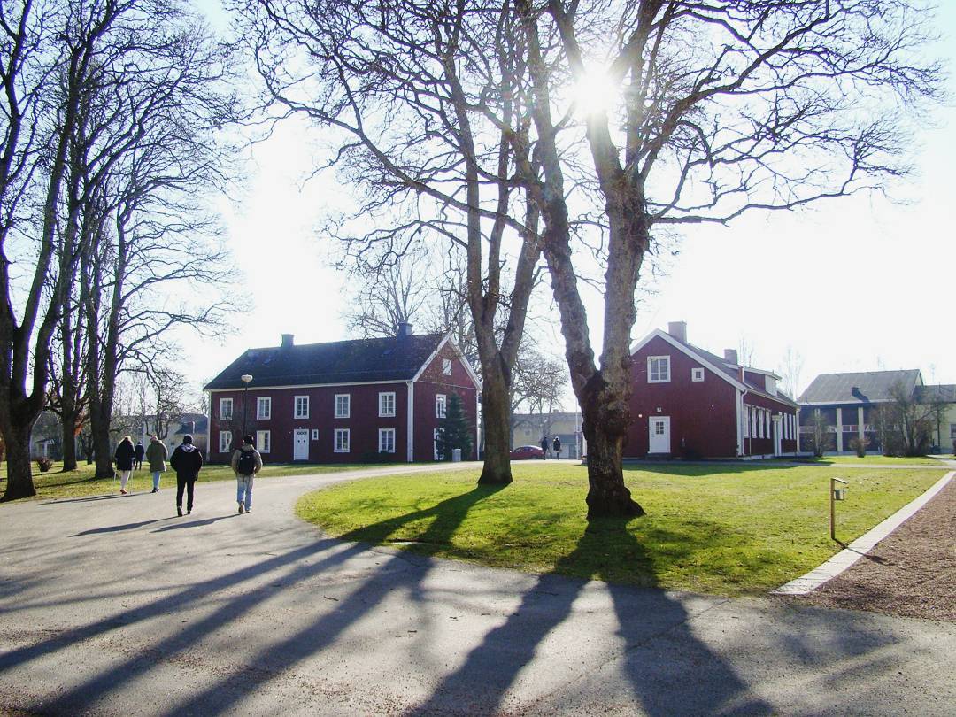 Изучение шведского языка в школе Axevalla folkhögskola и мнение о тарифе Orange Mundo