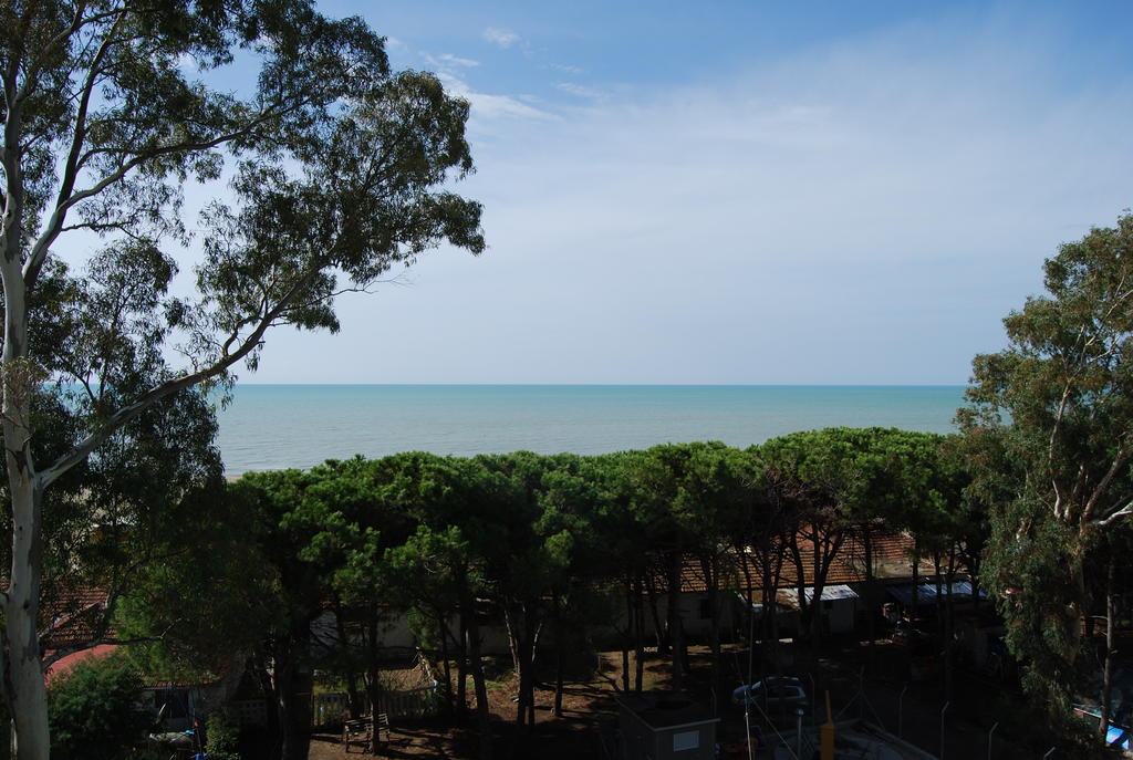 Приятные воспоминания от поездки в Албанию