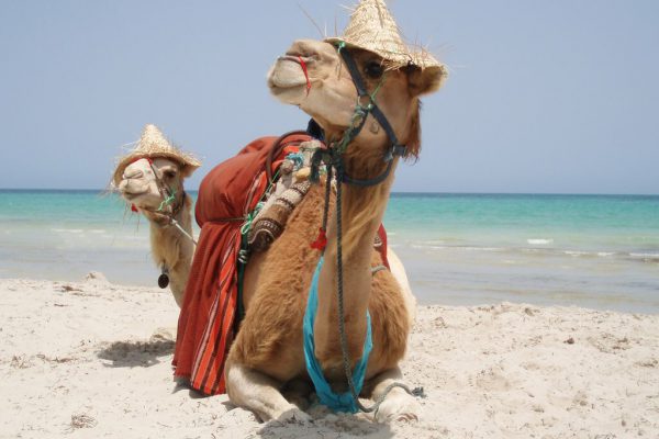 Лучшие заграничные пляжные курорты в октябре 2017 года