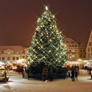 Выбираем сим-карту в России для поездки в Таллин на новогодние праздники