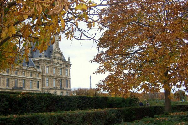 Рабочий визит во Францию и отзыв о сим-карте Ortel