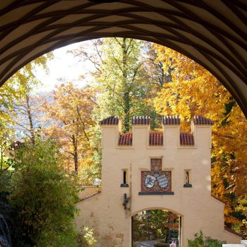 В Баварию на авто – наша авантюра и отзыв о сим-карте Ortel Mobile