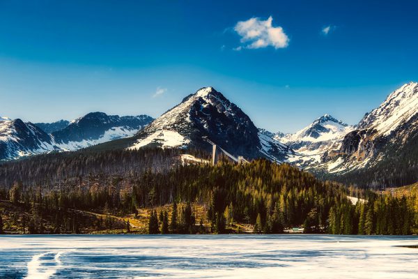 Покупка сим-карты в России для поездки в Словакию в декабре