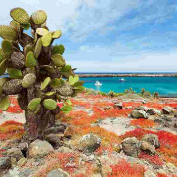 Достопримечательности, которые в 2018 году лучше не посещать