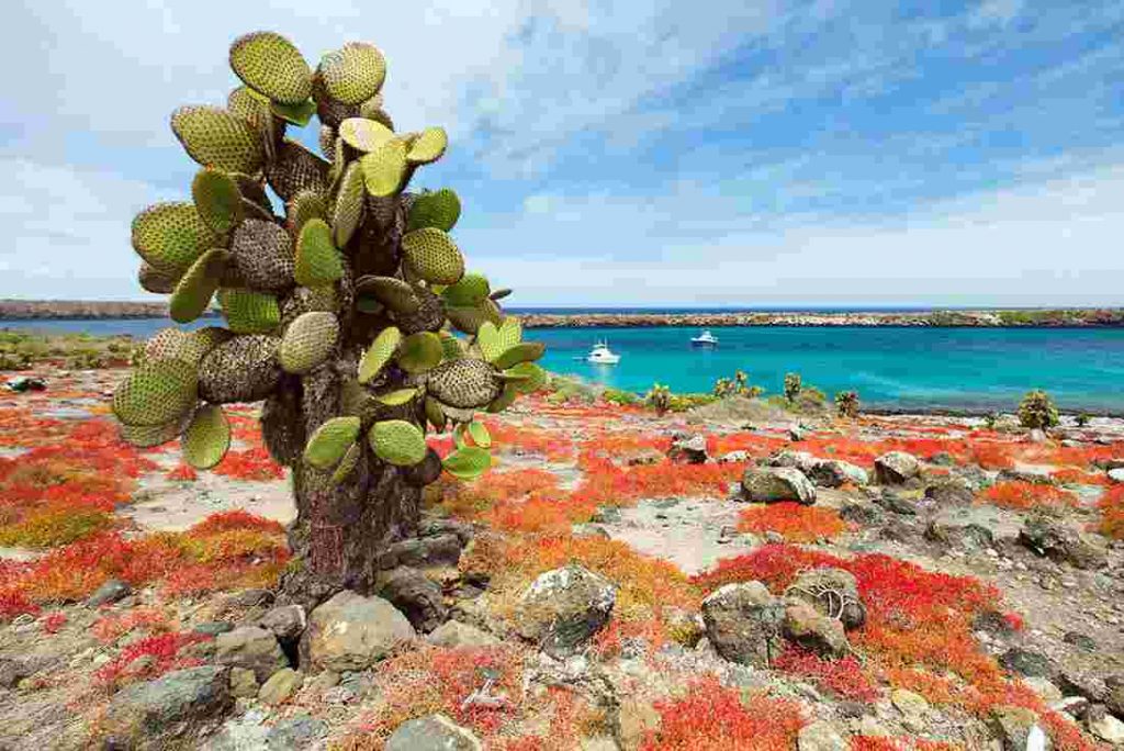 Достопримечательности, которые в 2018 году лучше не посещать