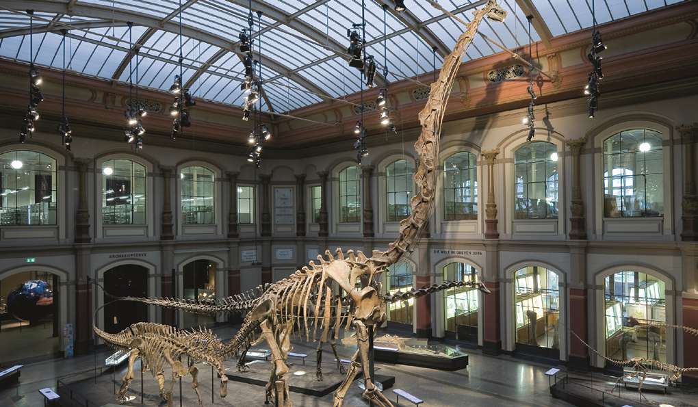 Поездка в Германию: 11 полезных советов 