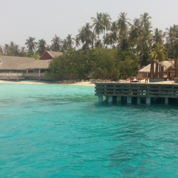 Неделя на Мальдивах в январе и отзыв о тарифе GlobalSim