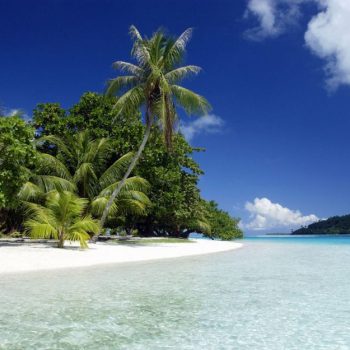 Где купить сим-карту в России для поездки в феврале на Гоа?