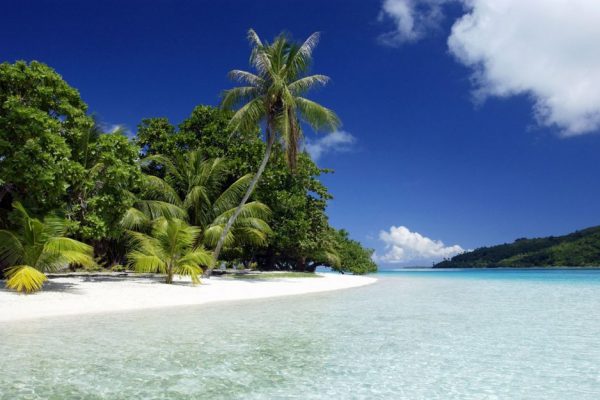 Где купить сим-карту в России для поездки в феврале на Гоа?