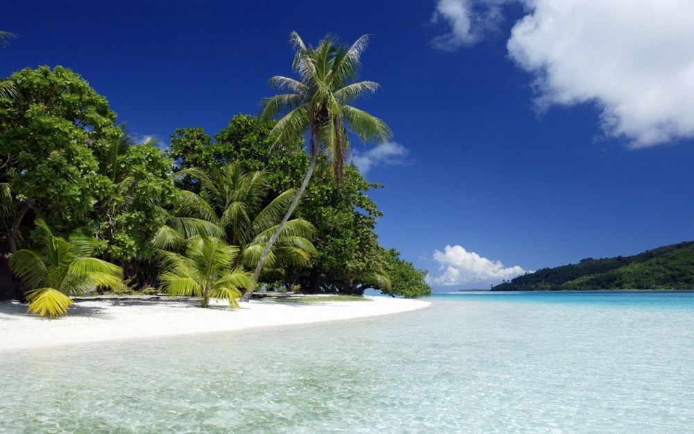 Где купить сим-карту в России для поездки в феврале на Гоа?