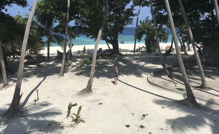 Впечатления от райского отдыха и отеля, в котором мы жили