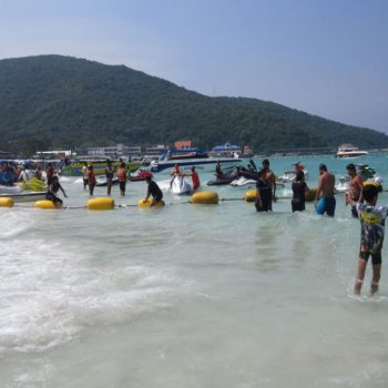 зминая ферма Поездка в Таиланд, Паттайя