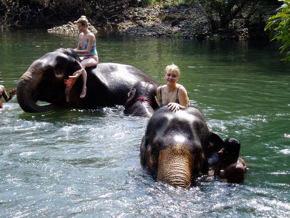 Удивительный отдых на Гоа и отзыв о тарифе